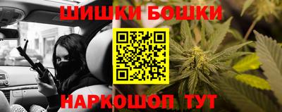 прущие крисы Малгобек