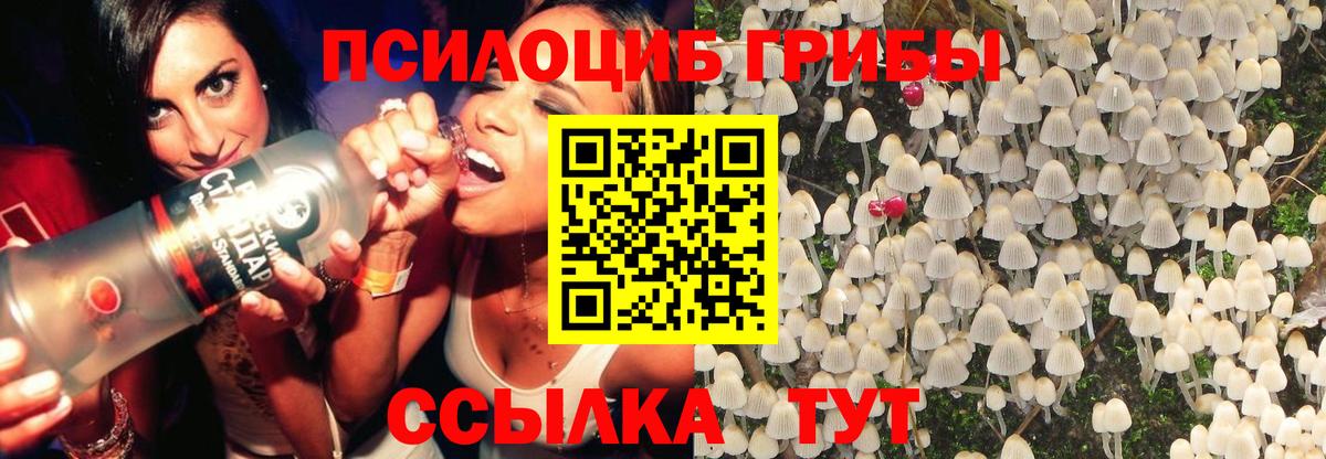 Галлюциногенные грибы ЛСД Тосно